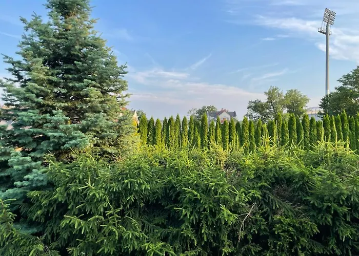 Apartament Apartament No 11 - Apart Ostróda